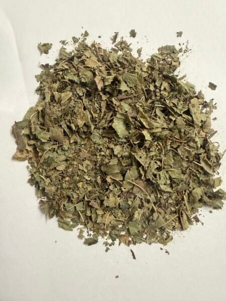 Dried Savanna Mint leaves used to prepare West African herbal tea