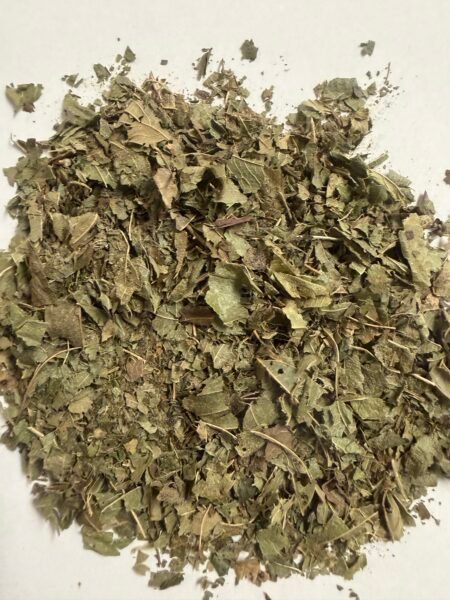Savanna Mint article reference image