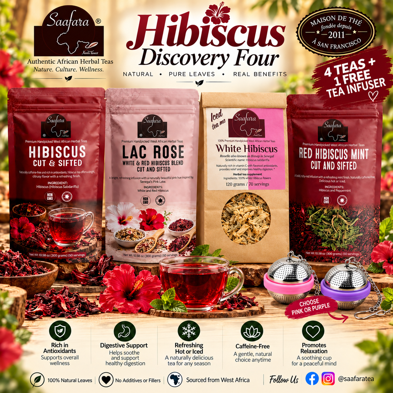 Hibiscus Discovery Four + Free Tea Infuser